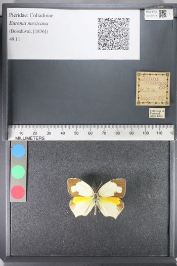 Media type: image;   Entomology 120414
